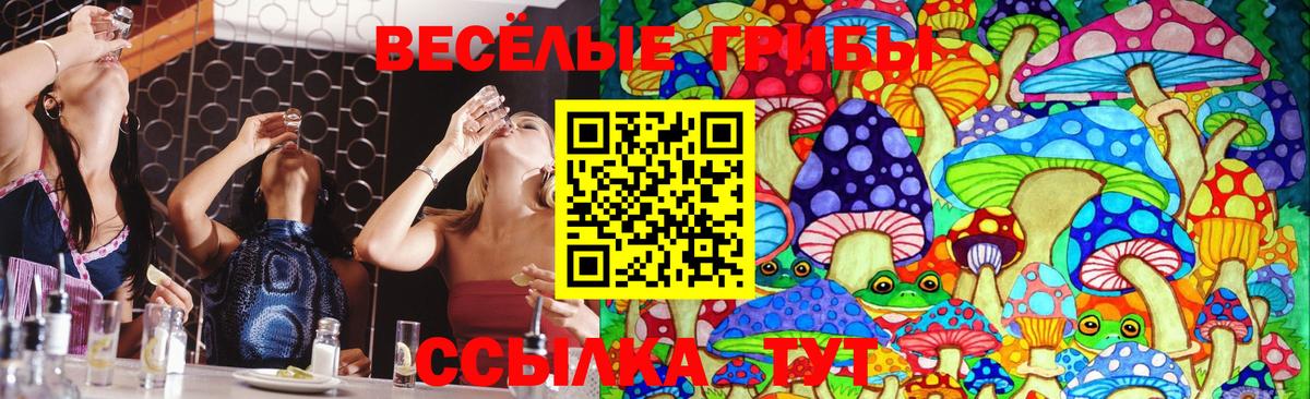 Псилоцибиновые грибы мухоморы  Вход с VPN  Павловский Посад  Галлюциногенные грибы мухоморы 