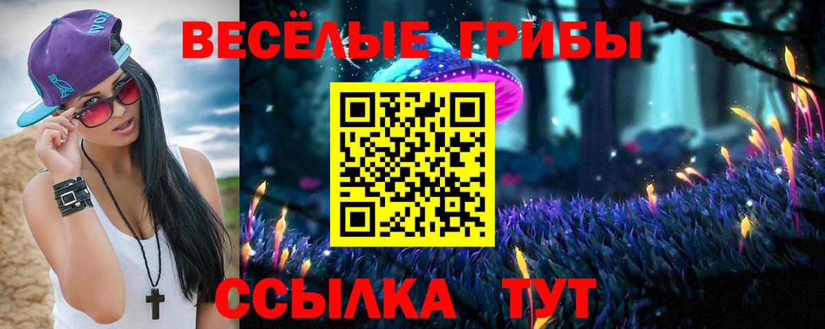 Псилоцибиновые грибы Cubensis Павловский Посад